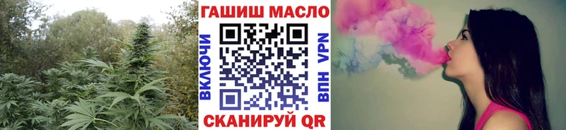 MEGA зеркало  где купить наркоту  Микунь  Дистиллят ТГК Wax 