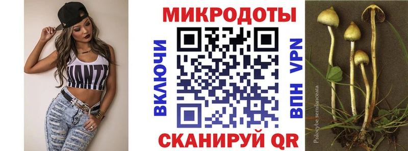 Псилоцибиновые грибы Psilocybine cubensis  купить наркотик  Микунь 